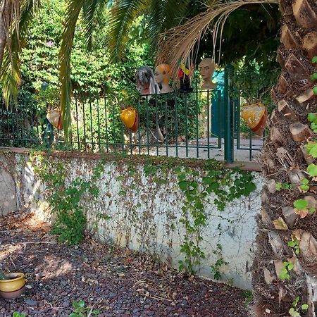 Appartement & Spa - Panoramic Olivars Pau Exterior foto